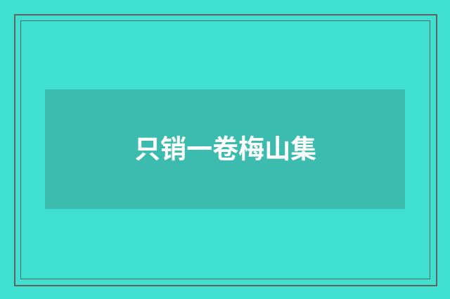 只销一卷梅山集