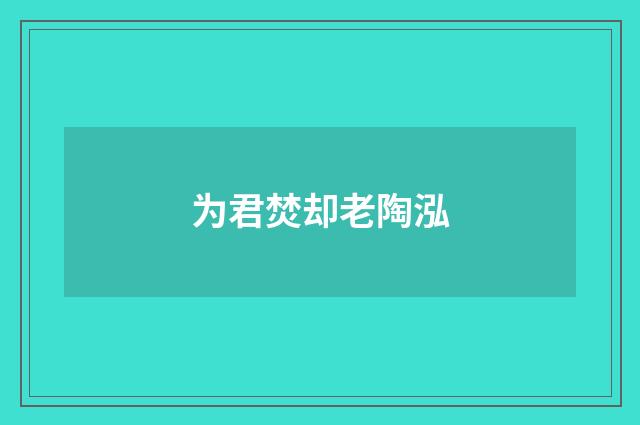为君焚却老陶泓