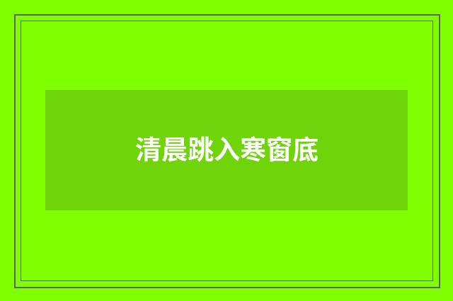 清晨跳入寒窗底