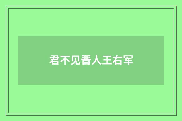 君不见晋人王右军
