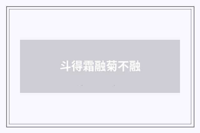 斗得霜融菊不融