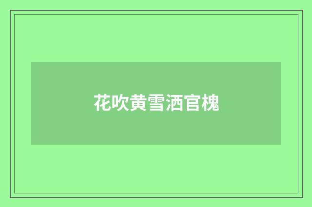 花吹黄雪洒官槐