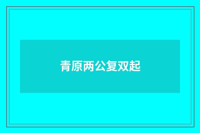 青原两公复双起