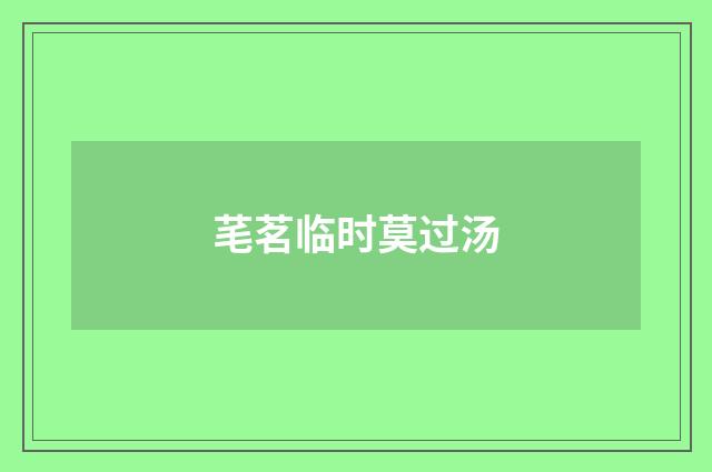 芼茗临时莫过汤