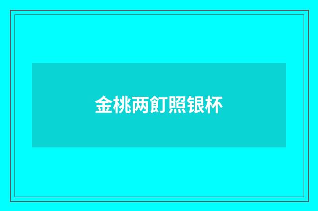 金桃两飣照银杯