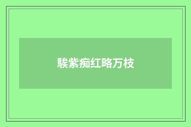 騃紫痴红略万枝