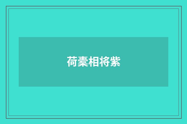 荷橐相将紫