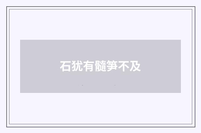 石犹有髓笋不及