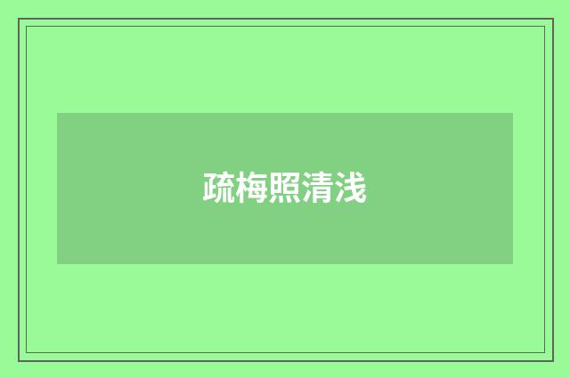 疏梅照清浅