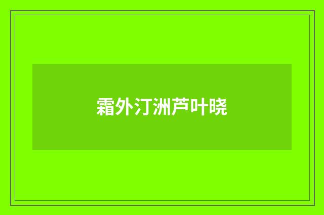 霜外汀洲芦叶晓