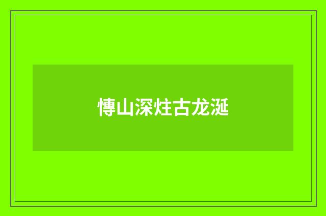 慱山深炷古龙涎