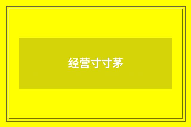 经营寸寸茅