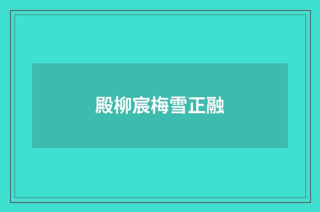 殿柳宸梅雪正融