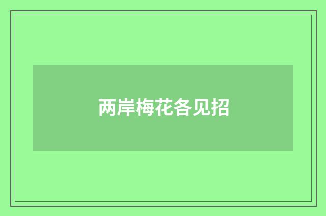 两岸梅花各见招