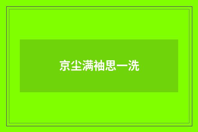 京尘满袖思一洗