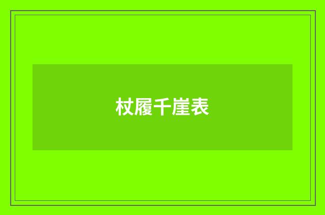 杖履千崖表