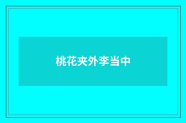 桃花夹外李当中