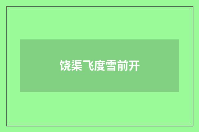 饶渠飞度雪前开