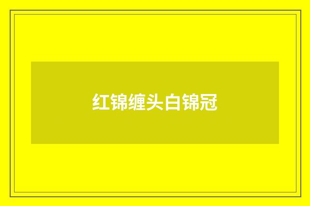 红锦缠头白锦冠