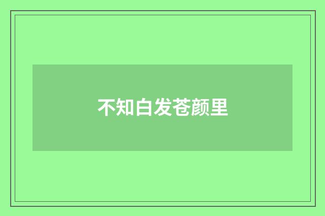 不知白发苍颜里