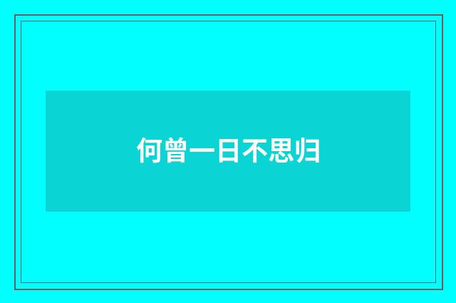 何曾一日不思归