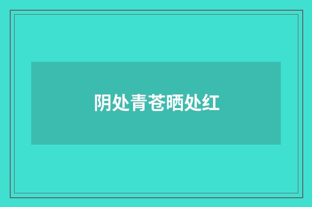阴处青苍晒处红