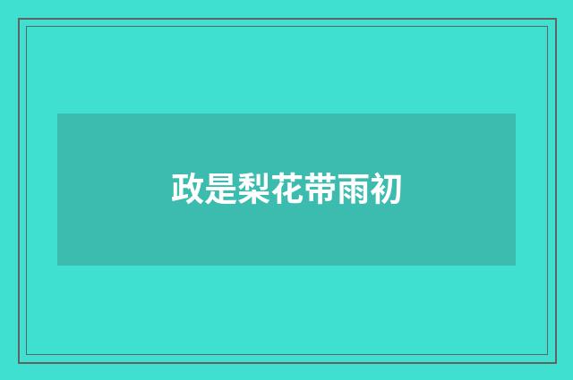 政是梨花带雨初