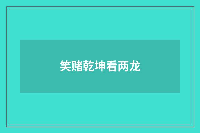 笑赌乾坤看两龙