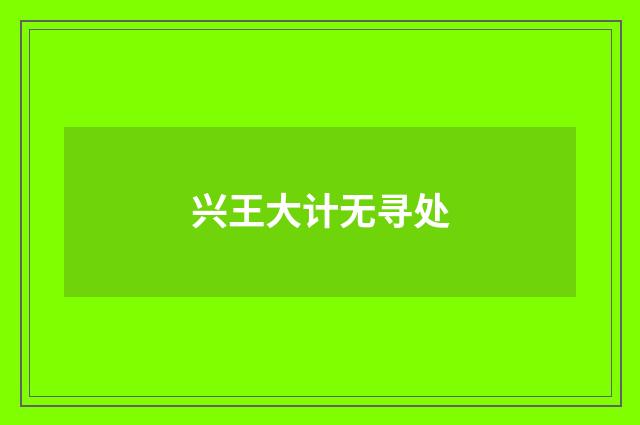 兴王大计无寻处