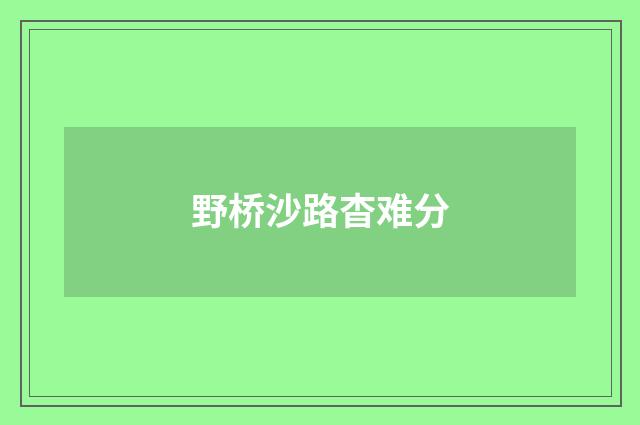野桥沙路杳难分