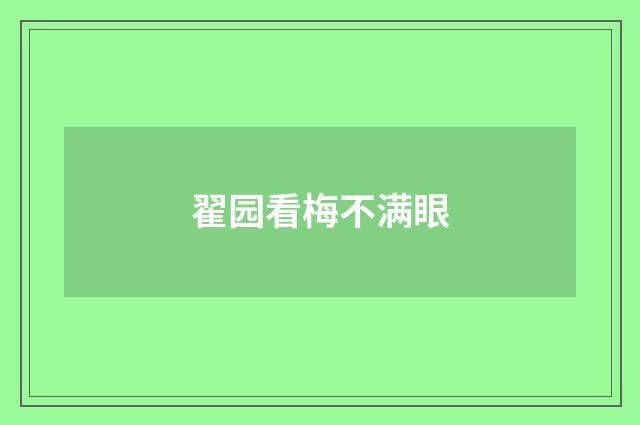 翟园看梅不满眼