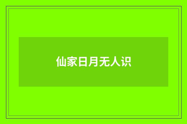 仙家日月无人识