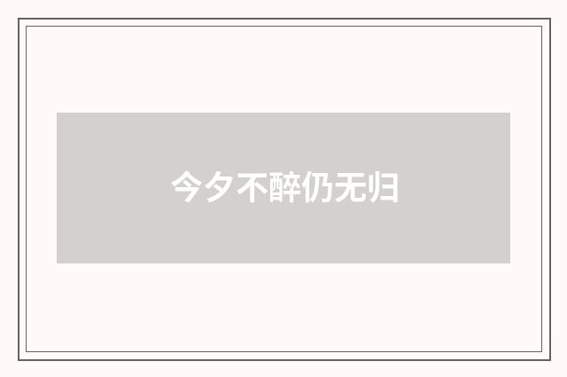 今夕不醉仍无归