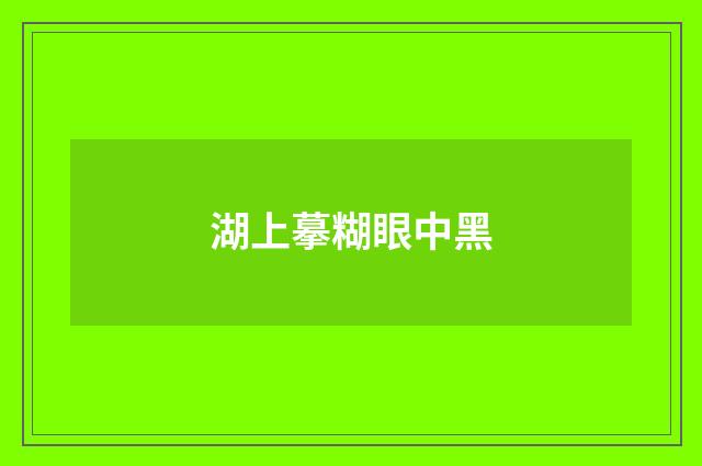 湖上摹糊眼中黑