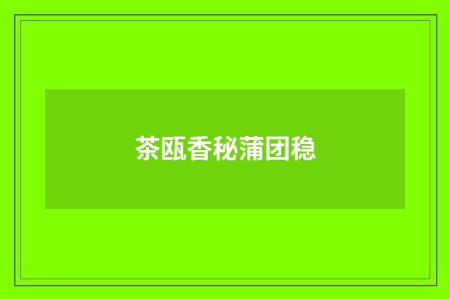 茶瓯香秘蒲团稳