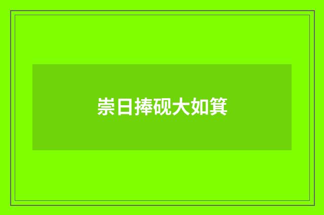 崇日捧砚大如箕