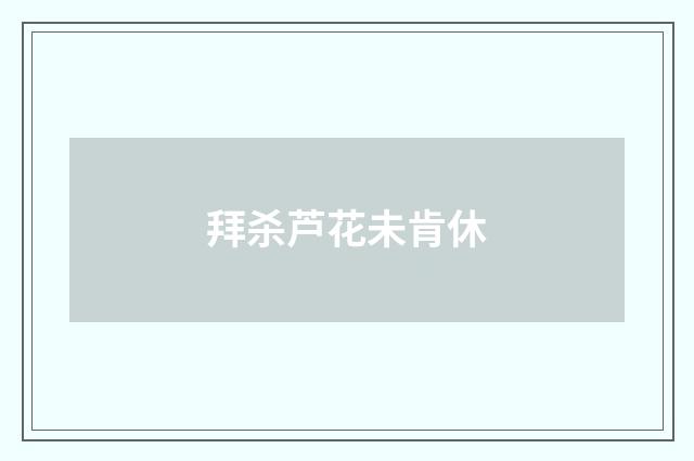 拜杀芦花未肯休