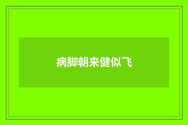 病脚朝来健似飞