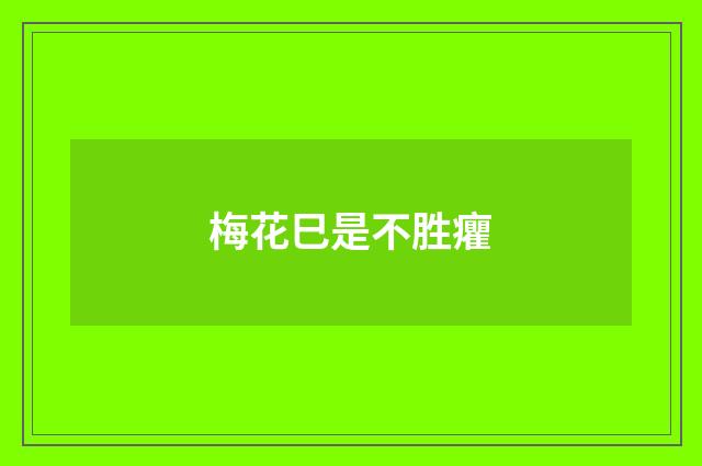 梅花巳是不胜癯