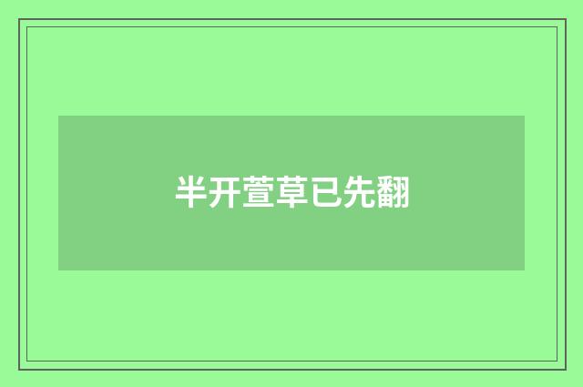 半开萱草已先翻