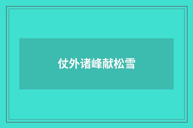仗外诸峰献松雪