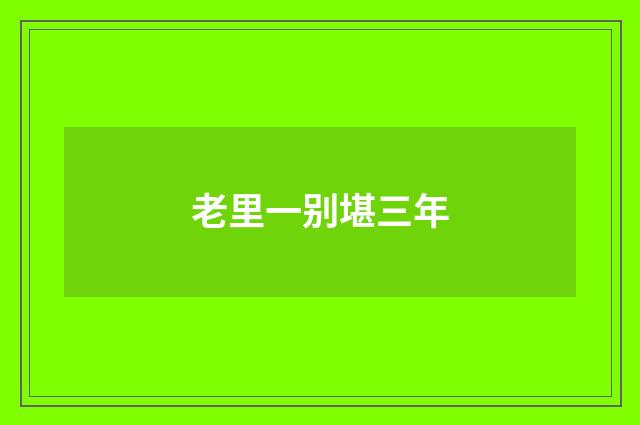 老里一别堪三年