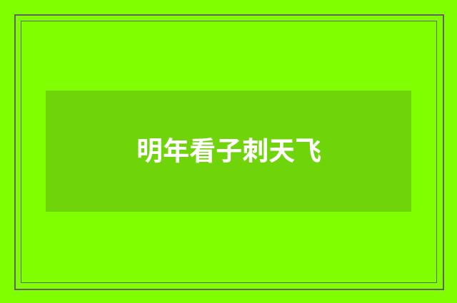 明年看子刺天飞