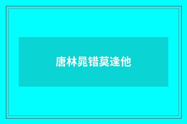 唐林晁错莫逢他