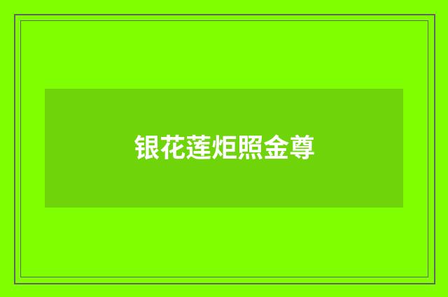 银花莲炬照金尊