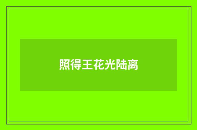 照得王花光陆离