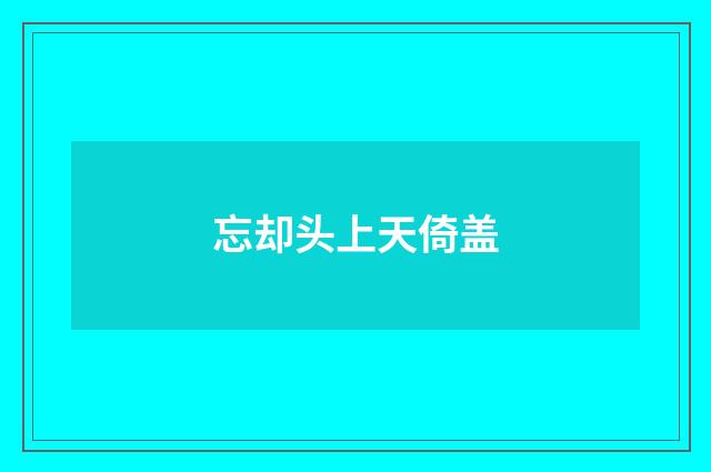 忘却头上天倚盖
