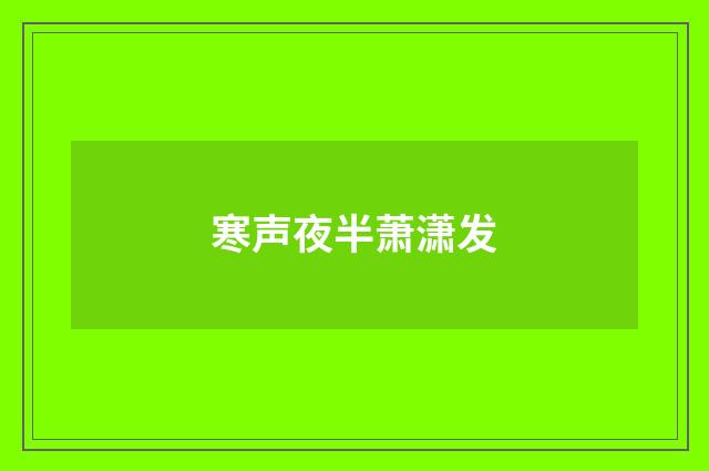 寒声夜半萧潇发