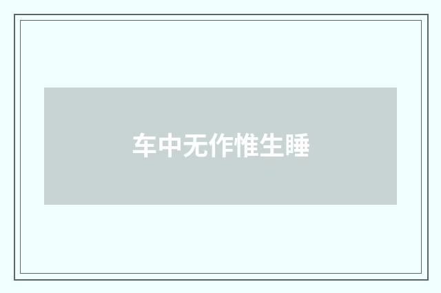 车中无作惟生睡