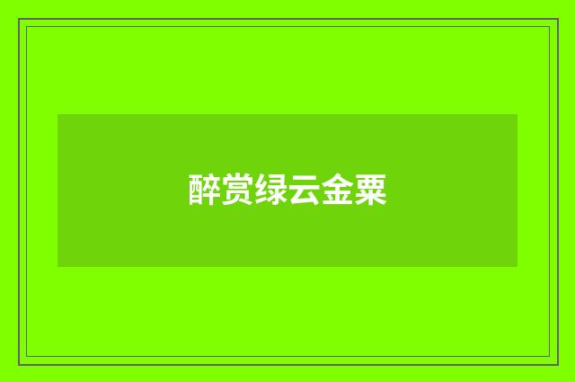 醉赏绿云金粟